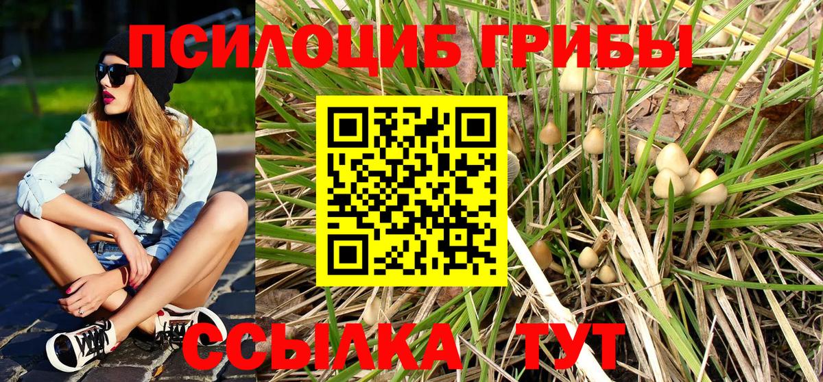 Галлюциногенные грибы ЛСД  Вход с VPN  Славянск-на-Кубани 